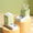 Two green and white geometric-shaped objects on a beige surface with a green background