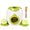 Pet toy with tennis balls and a wooden paddle on a white background