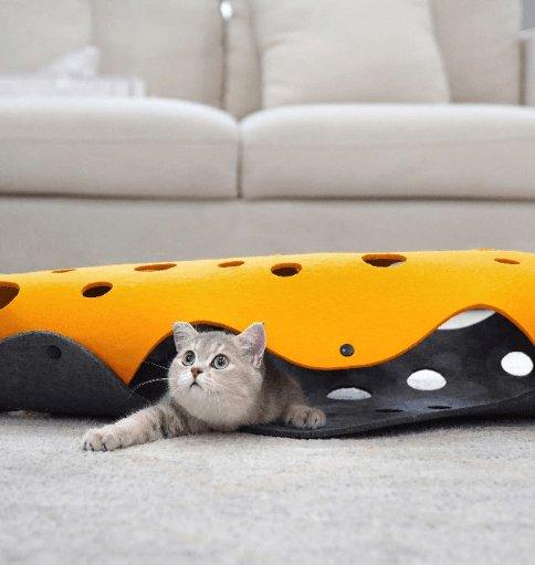 Cat peeking out from a yellow and black wavy pet bed on a carpeted floor.