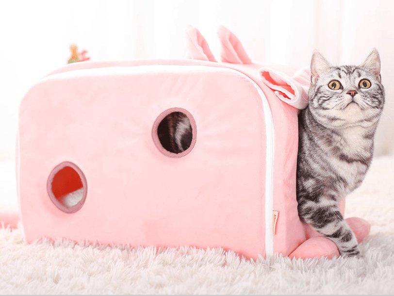 Cat peeking out from a pink pet house on a white background