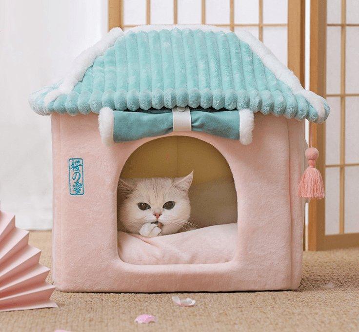 Cat house with a cat inside, featuring a pink base and teal roof.