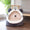 Cat-shaped pet bed on a wooden floor with a plant in the background