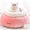 White cat sitting on a pink pet bed with 'Hoopet' branding.