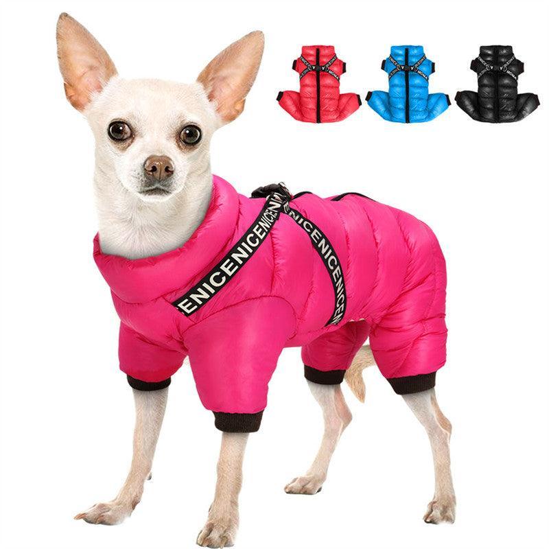 Small dog wearing a pink winter coat with ENICENCE branding, surrounded by color options on a white background.
