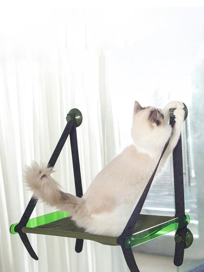 Cat on a green and black cat hammock with white curtains in the background