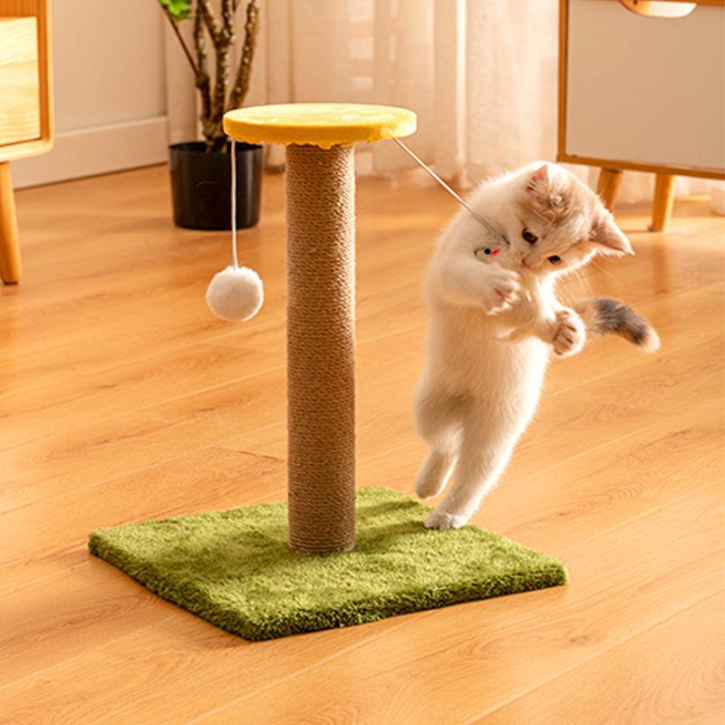 Cat playing with a toy on a scratching post in a home setting