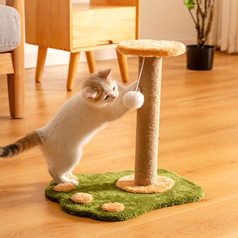 Cat playing with a toy on a cat tree in a home setting