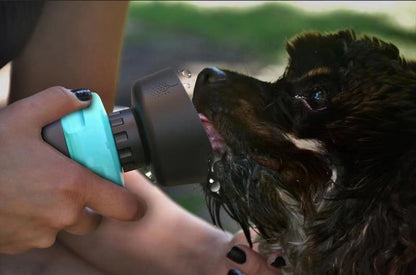 Person using a handheld showerhead to rinse a dog outdoors