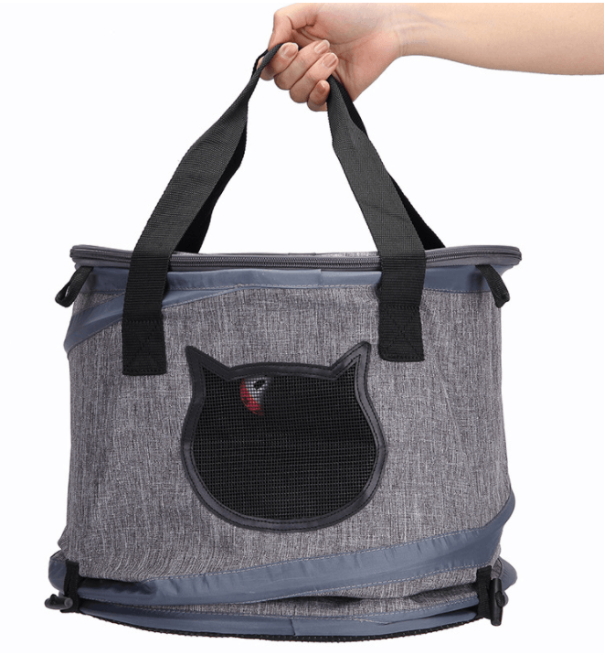 Gray pet carrier with black cat face design held by a hand on a white background