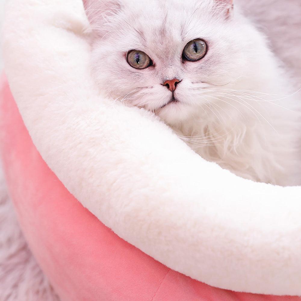White cat lying on a pink cushion with a soft focus background