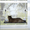 Cat lounging on a window-mounted pet hammock with a view of trees outside.
