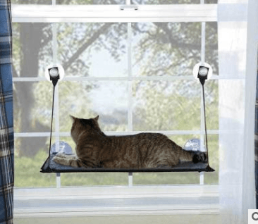 Cat lounging on a window-mounted pet hammock with a view of trees outside.