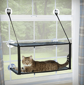 Cat lying on a window-mounted hammock with a view of trees outside.