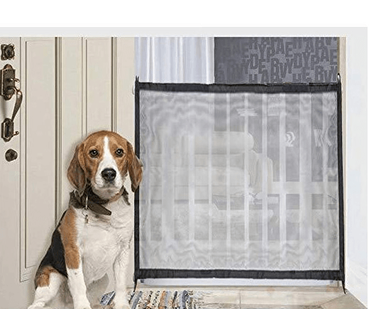 Dog standing next to a pet gate in a doorway