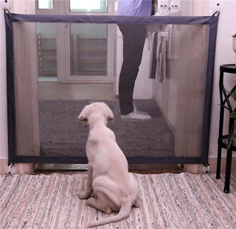 Dog sitting in front of a mesh pet gate in a home setting.