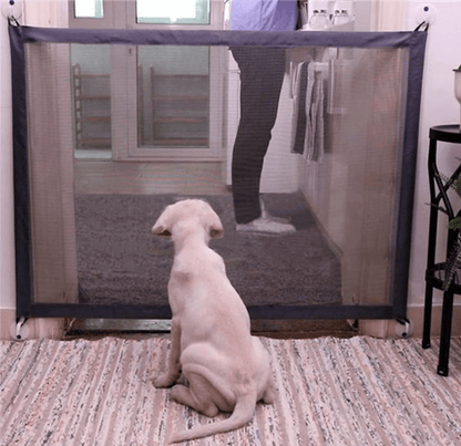 Dog sitting in front of a mesh pet gate in a home setting.