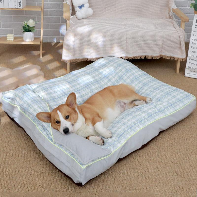 Dog lying on a checkered pet bed in a cozy living room.