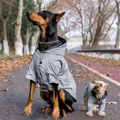 Two dogs wearing gray raincoats standing on a path with trees in the background.