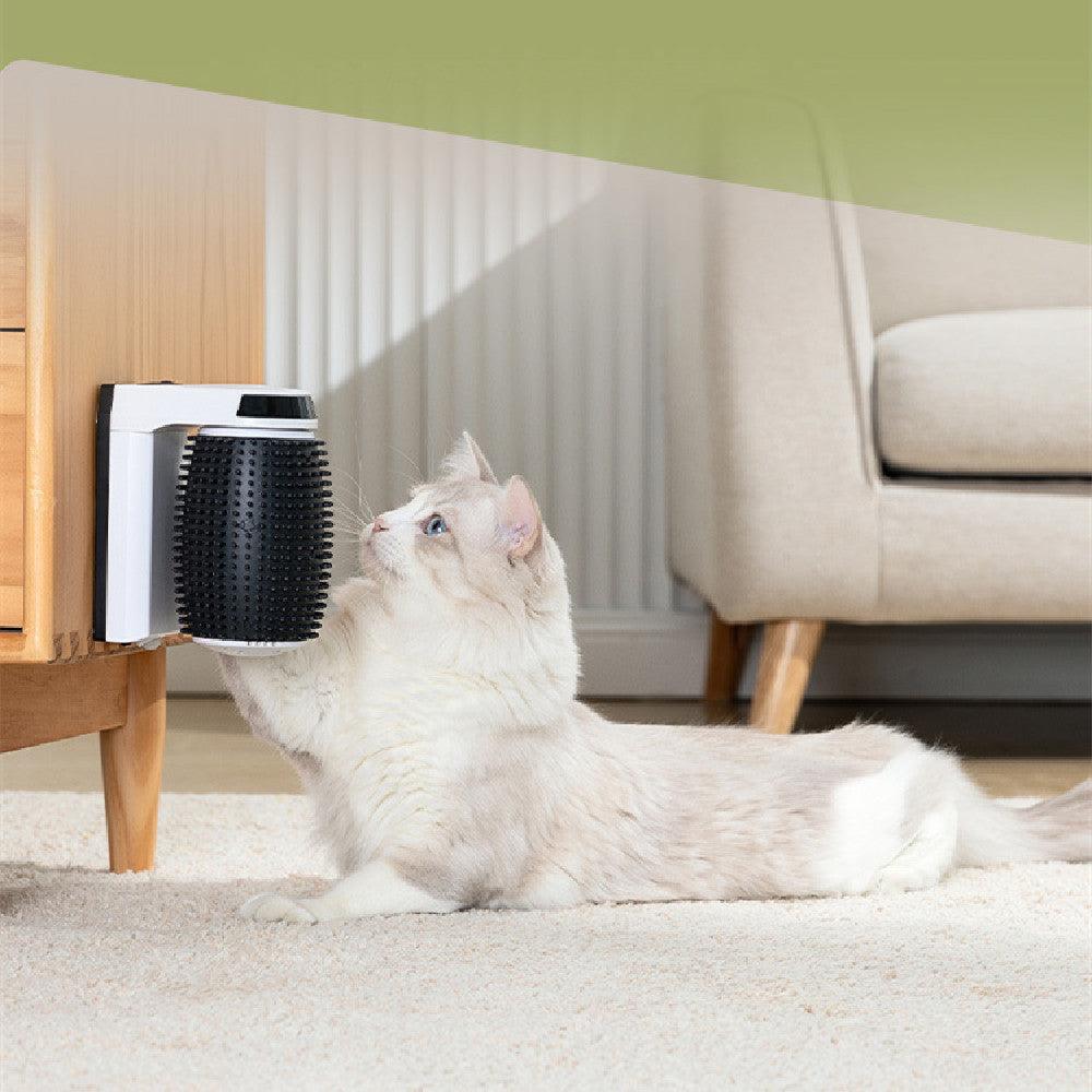 Cat interacting with a pet grooming brush on a carpeted floor.