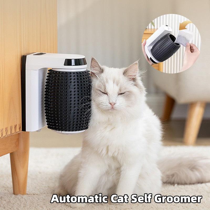 White cat sitting next to a pet grooming tool on a carpeted floor.