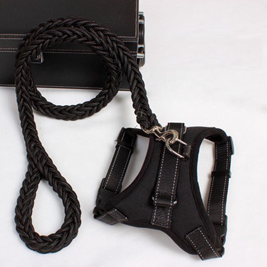 Black dog harness and leash set on a white background