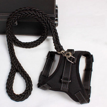 Black dog harness and leash set on a white background