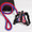 Dog harness and red and blue rope leash with Union Jack design on a white background