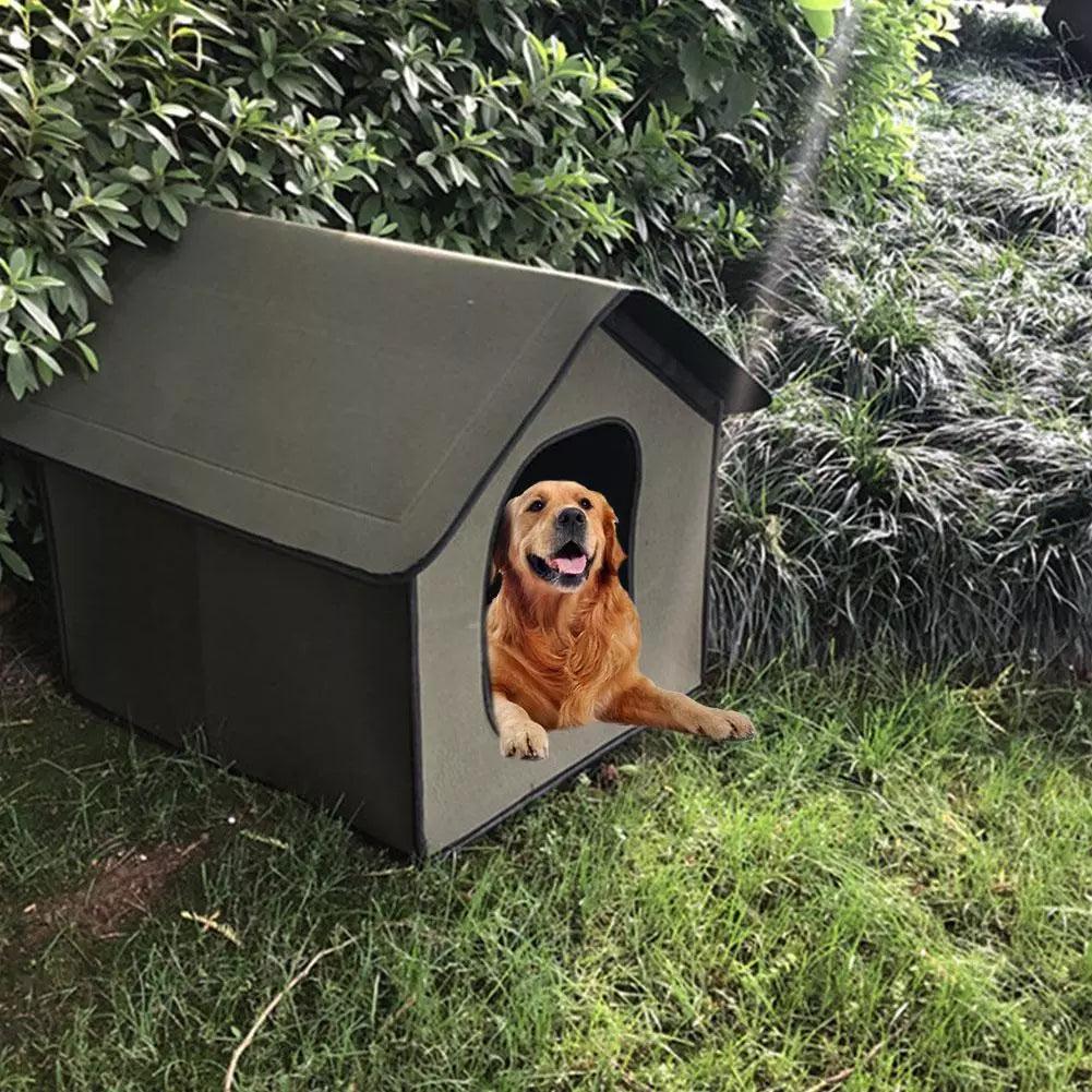 Dog sitting in a doghouse outdoors with greenery around