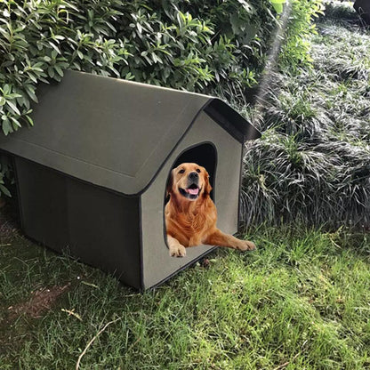 Dog sitting in a doghouse outdoors with greenery around