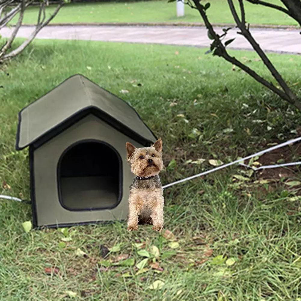 Small dog standing in front of a green pet house on grass